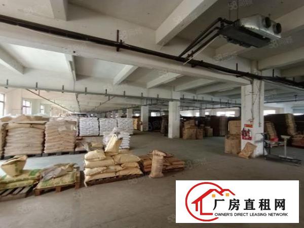  清溪大利独栋厂房11000平招租层高6.5米可分租水电齐全