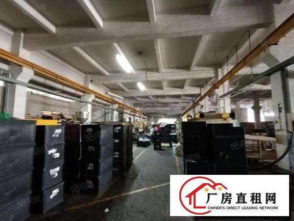  清溪大利独栋厂房11000平招租层高6.5米可分租水电齐全