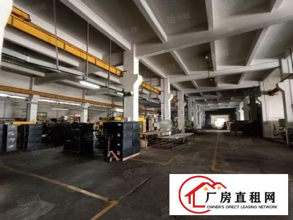  清溪大利独栋厂房11000平招租层高6.5米可分租水电齐全