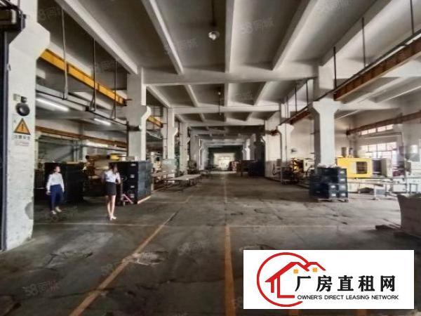  清溪大利独栋厂房11000平招租层高6.5米可分租水电齐全
