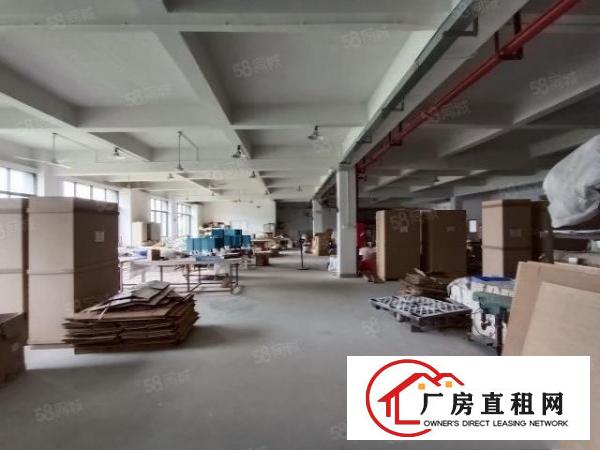  清溪大利独栋厂房11000平招租层高6.5米可分租水电齐全