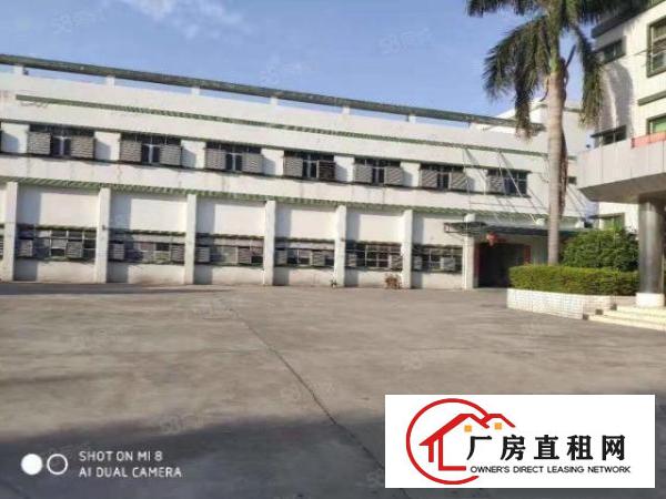  清溪新出原房东一楼1600平方带水电装修低价急租