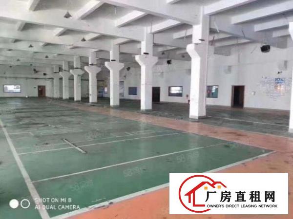  清溪新出原房东一楼1600平方带水电装修低价急租