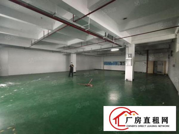  清溪厦坭原房东零公摊标准三楼厂房整层2500平招租水电到位