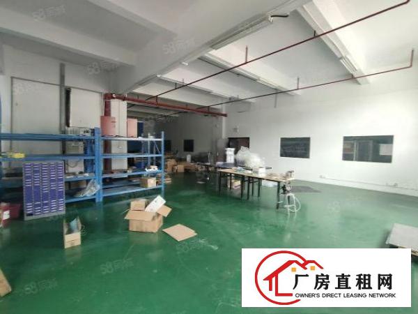  清溪厦坭原房东零公摊标准三楼厂房整层2500平招租水电到位