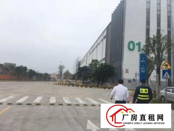  清溪三中原房东红本物流仓库出租5万平方超大空地200起分