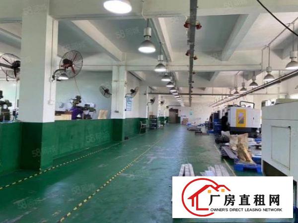  清溪镇三中新出一楼1350平带牛角厂房低价出租