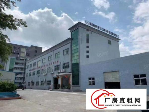  清溪镇三中新出一楼1350平带牛角厂房低价出租