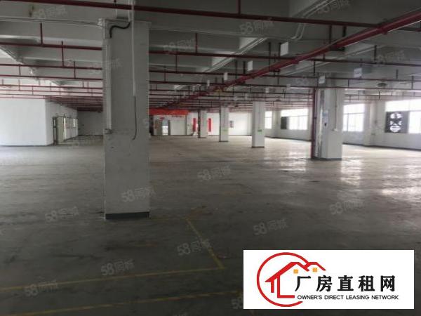  清溪靠深圳原房东新建红本独院280平起出租，可整租可分租