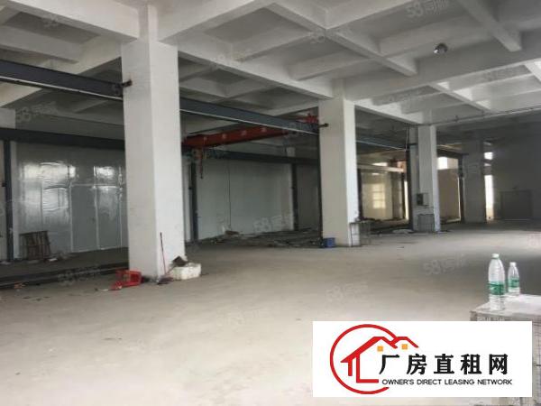  清溪靠深圳原房东新建红本独院280平起出租，可整租可分租