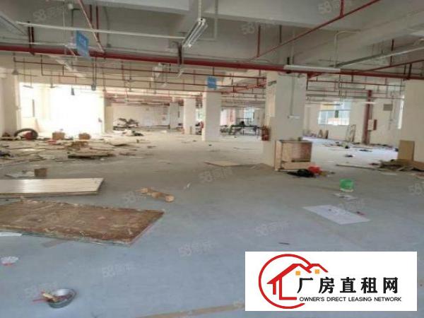 清溪靠深圳原房东新建红本独院280平起出租，可整租可分租