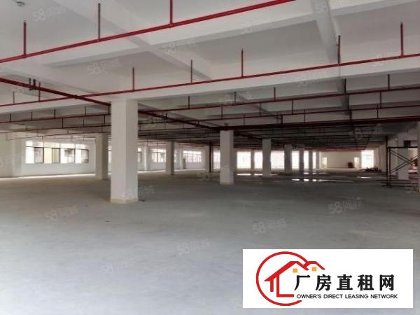  清溪靠深圳原房东新建红本独院280平起出租，可整租可分租