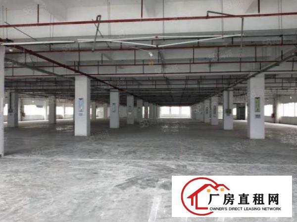  清溪靠深圳原房东新建红本独院280平起出租，可整租可分租