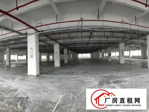  清溪靠深圳原房东新建红本独院280平起出租，可整租可分租