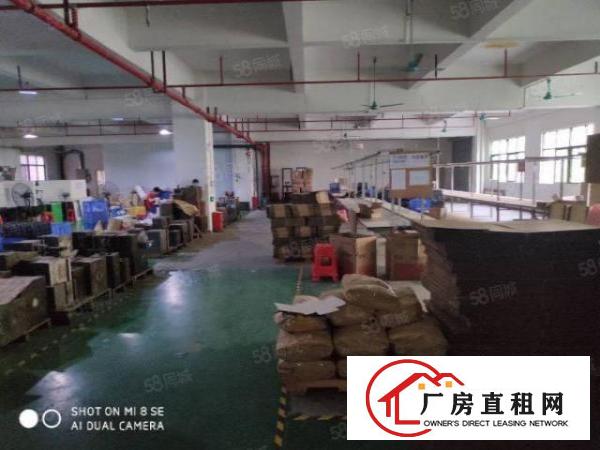  清溪三中原房东独院厂房分租二楼950平方现成装修办公室地坪漆