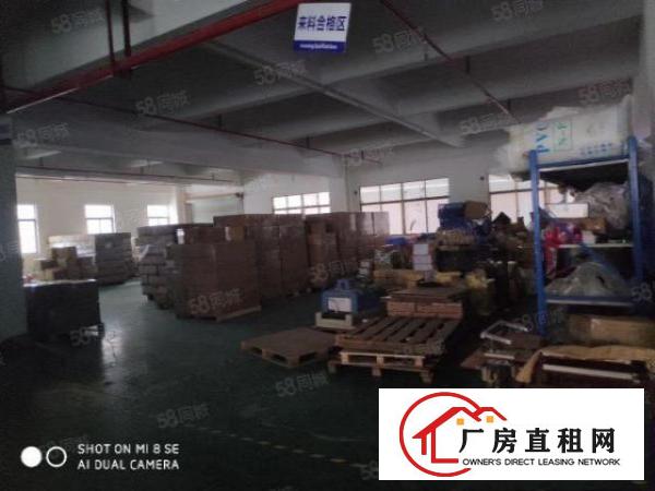  清溪三中原房东独院厂房分租二楼950平方现成装修办公室地坪漆