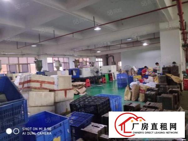  清溪三中原房东独院厂房分租二楼950平方现成装修办公室地坪漆