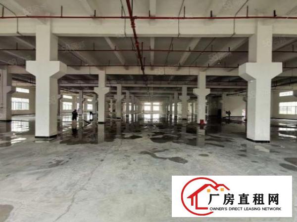  标准厂房500起租，一二楼可分租