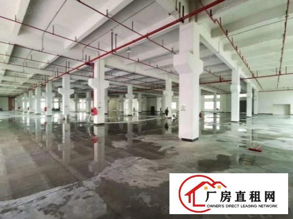  标准厂房500起租，一二楼可分租