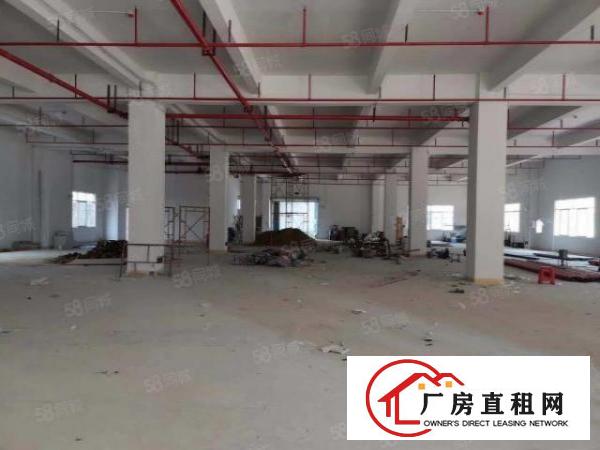 标准厂房500起租，一二楼可分租