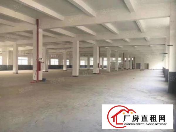  标准厂房500起租，一二楼可分租