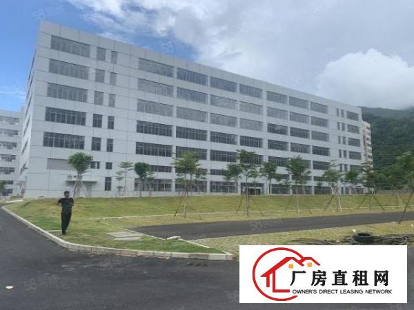  清溪三中新出原房东厂房2楼3000平方带现成办公室地坪漆