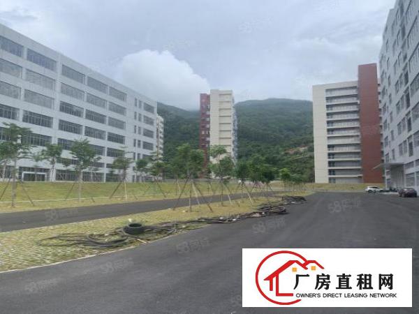  清溪三中新出原房东厂房2楼3000平方带现成办公室地坪漆