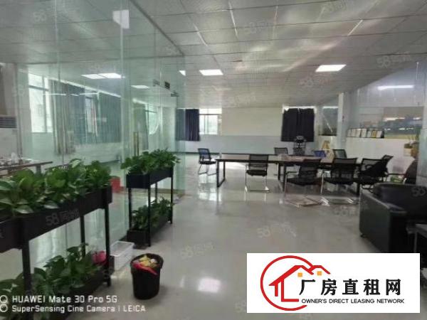  清溪镇中心新出原房东二楼1200平厂房，实际面积无公摊