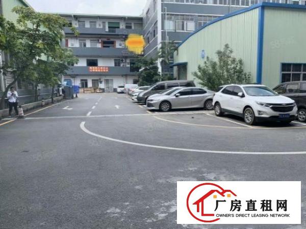  清溪镇原房东单一层钢结构厂房710平方出租