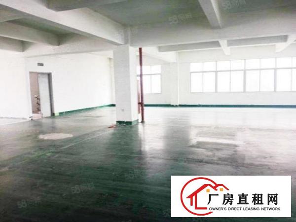  清溪三中独院标准2楼1000平方！双面采光!可办环评