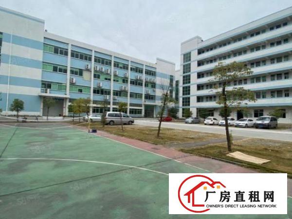  清溪三中独院标准2楼1000平方！双面采光!可办环评