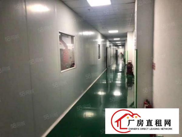  清溪大利一二楼1200平厂房出租，现成装修形象好