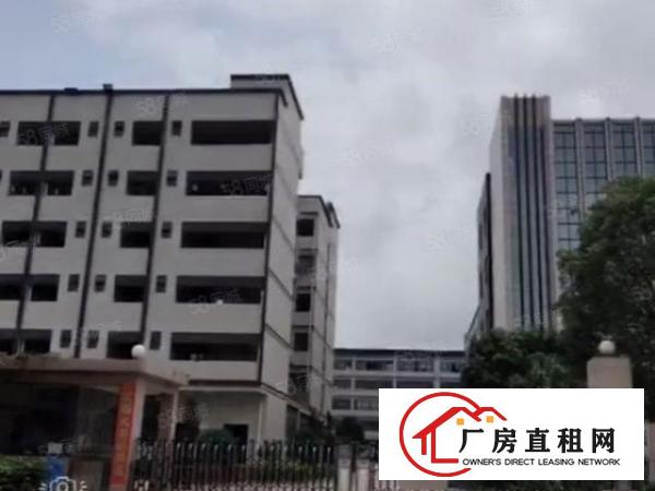  东莞市清溪镇原房东独院50000平方厂房出租