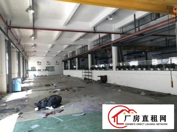  清溪三中村新出一楼2000平标准厂房出租水电齐全