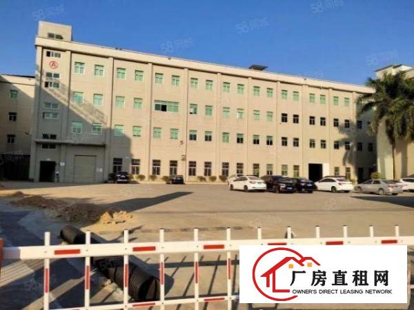  清溪三中村新出一楼2000平标准厂房出租水电齐全