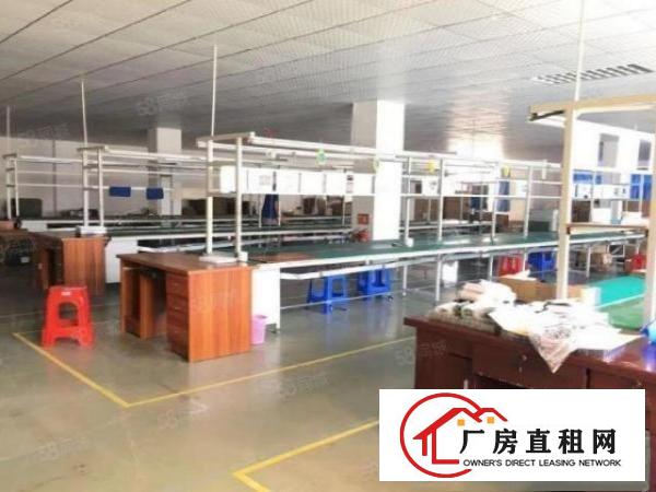  清溪大利标准厂房二楼2000平可分租小面积，装修办公室