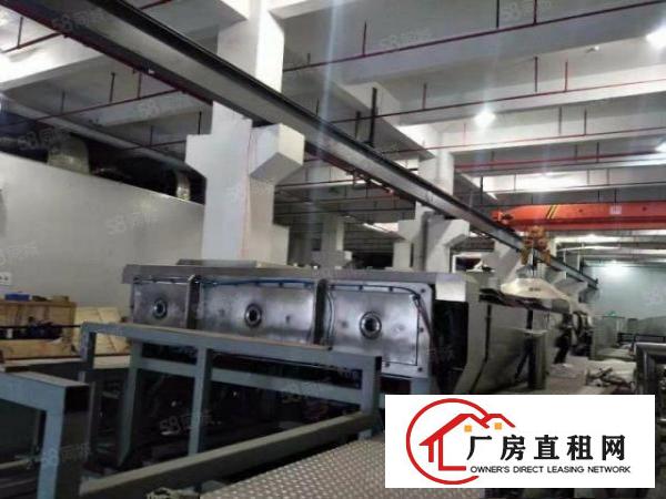  清溪三中新出标准一楼厂房实际面积750方可办环评带装修