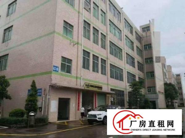  清溪镇谢坑村新出原房东二楼整层980平精装修厂房出租可分租