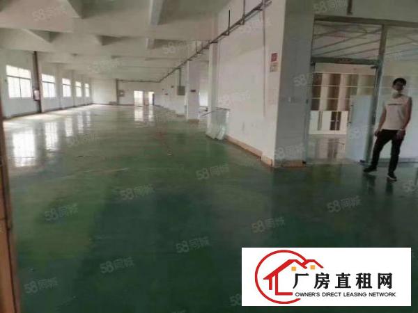  原房东清溪三中高速路口新出小独院5600平，空地大