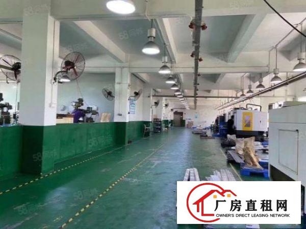  原房东清溪三中高速路口新出小独院5600平，空地大