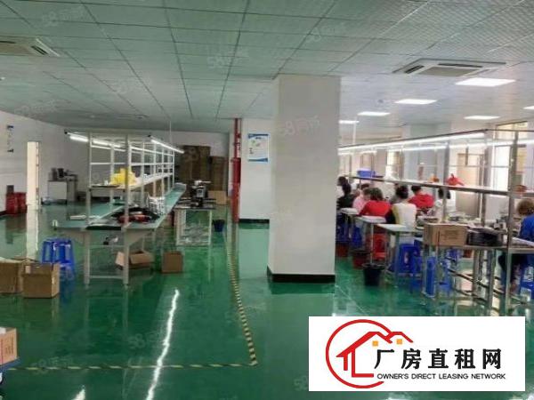  清溪可做电池楼上厂房出租650平方带装修