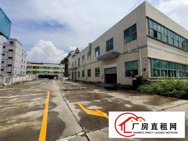  清溪荔横标准一楼厂房1000平招租可分租水电到位可办环评