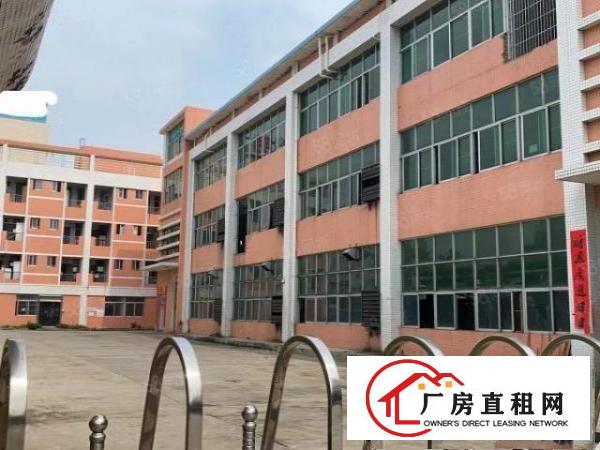  清溪大利一楼780平方带现成地坪漆办公室客户拎包入住