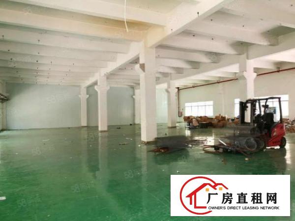  清溪镇三中村新空出一楼带牛角1000平厂房，6米高。水电齐全