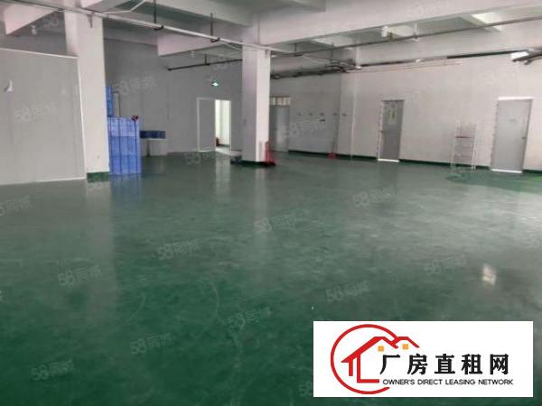  清溪三中附近二楼1380平方无尘车间出租，可大小分租