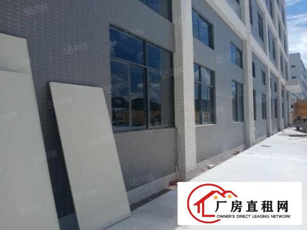  清溪原房东红本厂房出租1万8千平一楼层高7米带牛角5百平起分
