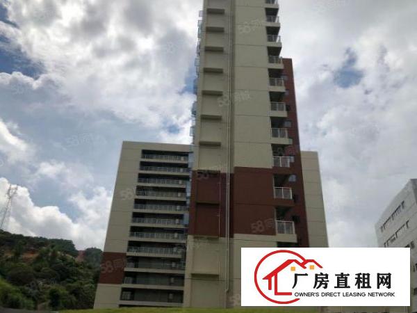  东莞清溪原房东17万平全新厂房出租，带红本行业不限，大小分租
