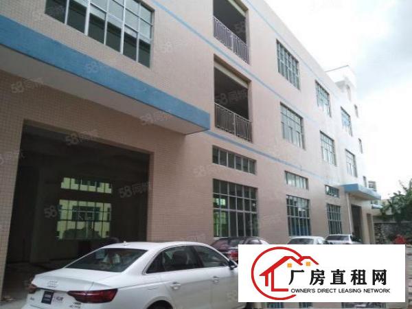  清溪新出原房东全新整栋厂房出租2000平可以分租可办环评