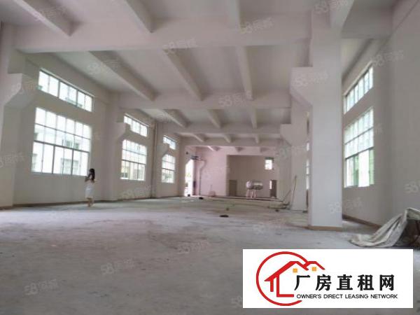  清溪新出原房东全新整栋厂房出租2000平可以分租可办环评