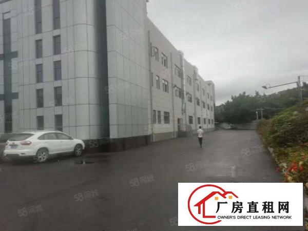  清溪浮岗原房东标准红本二楼厂房2000平招租零公摊可分租